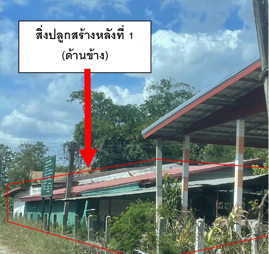 ขายทอดตลาด ที่ดินพร้อมสิ่งปลูกสร้าง ต.ขมิ้น อ.เมืองสกลนคร จ.สกลนคร