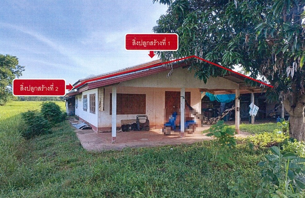 ขายทอดตลาด ที่ดินพร้อมสิ่งปลูกสร้าง ต.ไฮหย่อง อ.พังโคน จ.สกลนคร