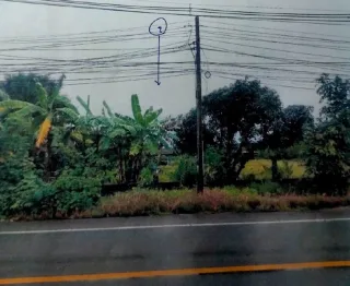 รูปทรัพย์ 2