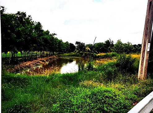 ขายทอดตลาด ที่ดินว่างเปล่า ต.คลองสวน อ.บางบ่อ จ.สมุทรปราการ