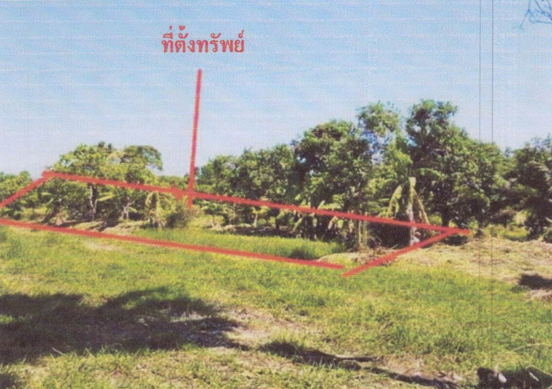 ขายทอดตลาด ที่ดินว่างเปล่า ต.ชิงโค อ.สิงหนคร จ.สงขลา