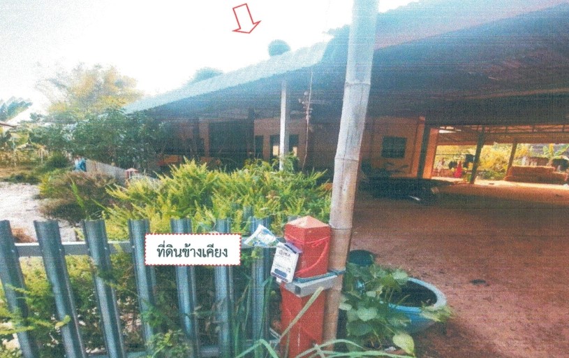 ขายทอดตลาด ที่ดินพร้อมสิ่งปลูกสร้าง ต.งิ้วด่อน อ.เมืองสกลนคร จ.สกลนคร