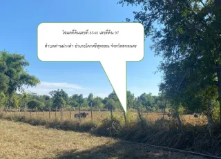 รูปทรัพย์ 3