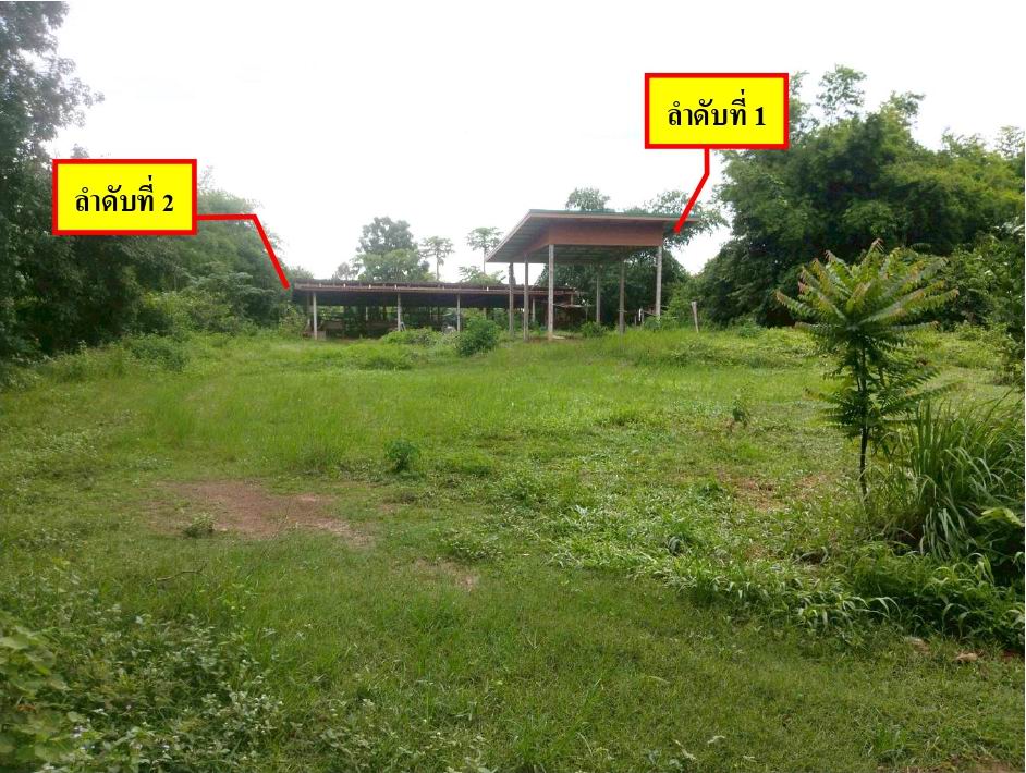ขายทอดตลาด ที่ดินพร้อมสิ่งปลูกสร้าง ต.พังโคน อ.พังโคน จ.สกลนคร