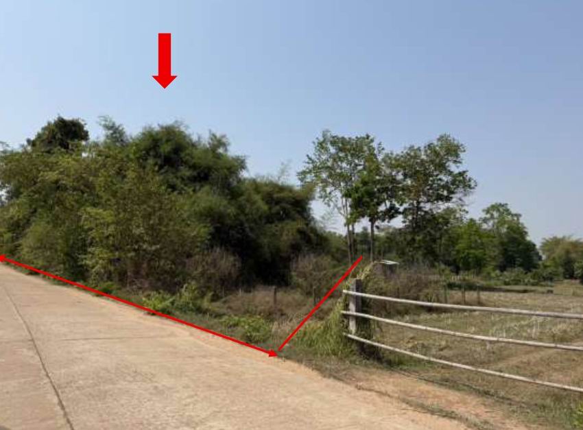 ขายทอดตลาด ที่ดินว่างเปล่า ต.โนนหอม อ.เมืองสกลนคร จ.สกลนคร