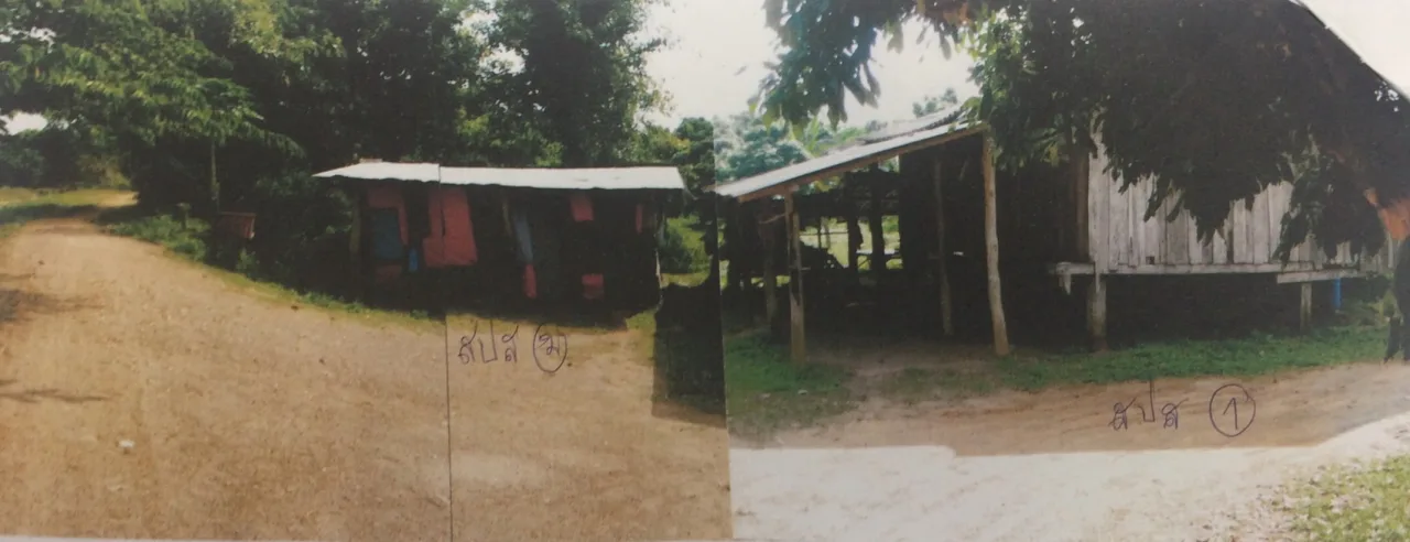 ขายทอดตลาด ที่ดินพร้อมสิ่งปลูกสร้าง ต.ป่าไผ่ อ.ลี้ จ.ลำพูน
