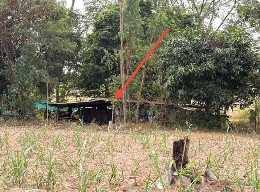 ขายทอดตลาด ที่ดินพร้อมสิ่งปลูกสร้าง ต.บัวเงิน อ.น้ำพอง จ.ขอนแก่น