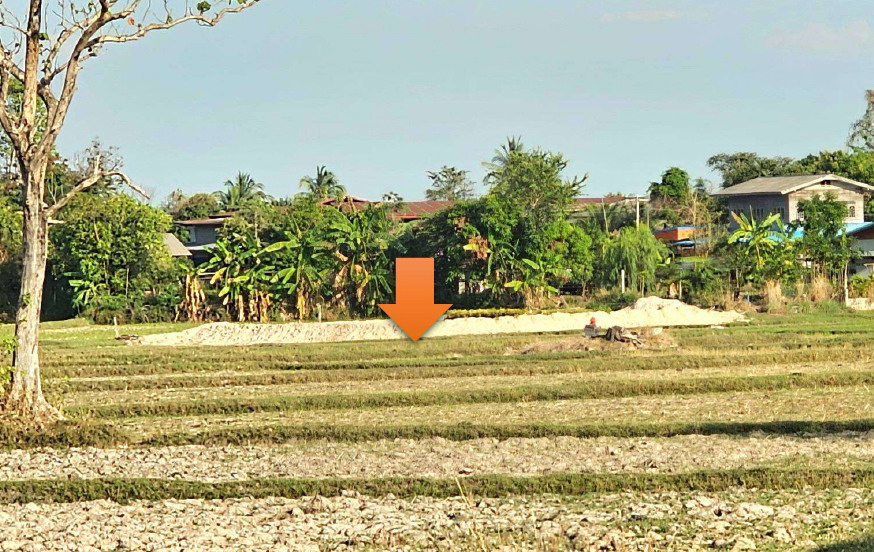 ขายทอดตลาด ที่ดินว่างเปล่า ต.เหล่าโพนค้อ อ.โคกศรีสุพรรณ จ.สกลนคร