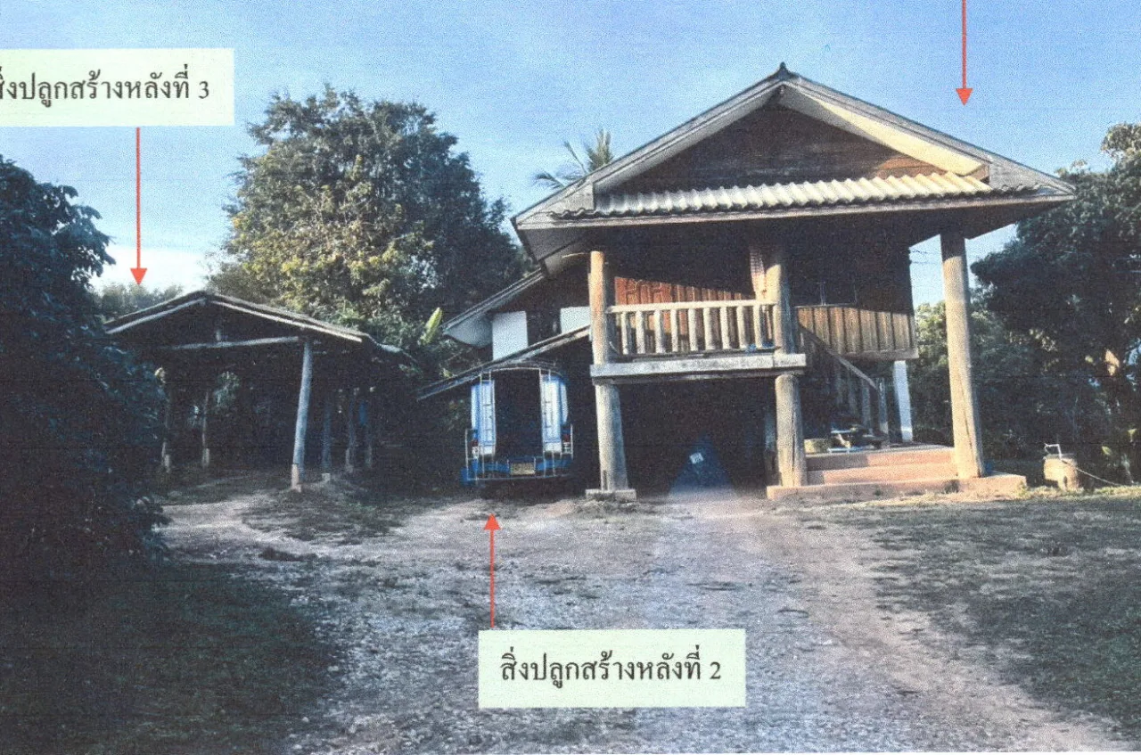 ขายทอดตลาด ที่ดินพร้อมสิ่งปลูกสร้าง ต.ทุ่งหัวช้าง อ.ทุ่งหัวช้าง จ.ลำพูน