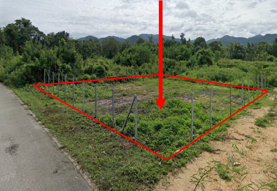 ขายทอดตลาด ที่ดินว่างเปล่า ต.ลี้ อ.ลี้ จ.ลำพูน