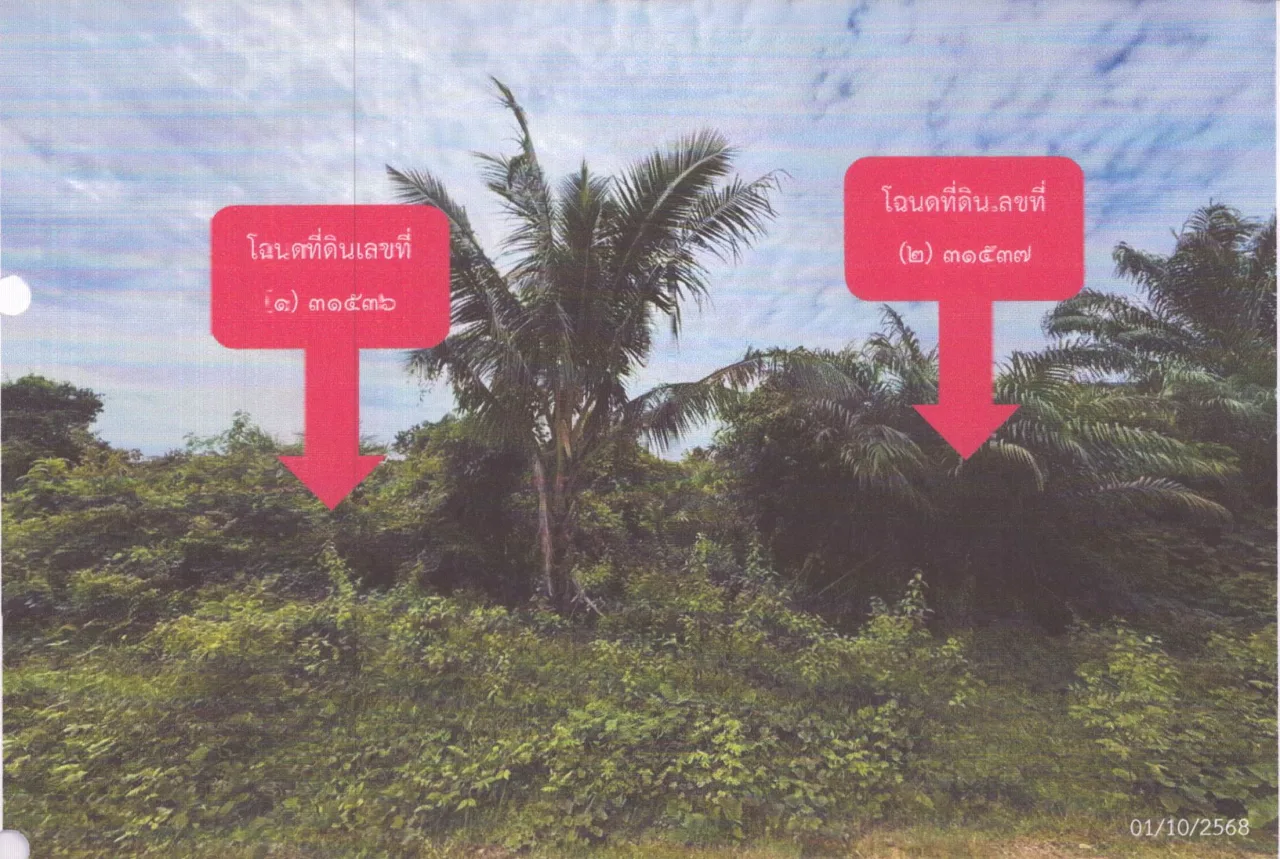 ขายทอดตลาด ที่ดินว่างเปล่า ต.บ้านพรุ อ.หาดใหญ่ จ.สงขลา