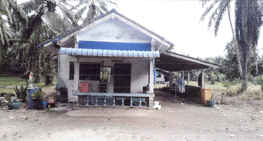 ขายทอดตลาด ที่ดินพร้อมสิ่งปลูกสร้าง ต.เขาใหญ่ อ.อ่าวลึก จ.กระบี่