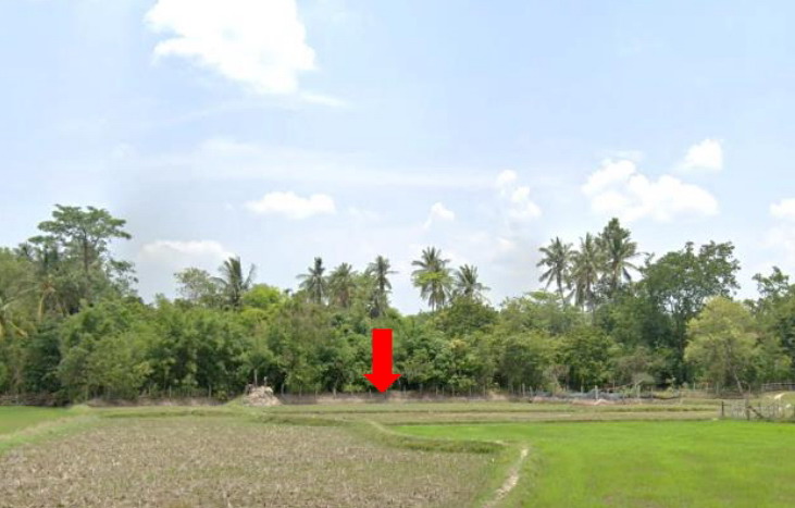ขายทอดตลาด ที่ดินว่างเปล่า ต.เหล่าโพนค้อ อ.โคกศรีสุพรรณ จ.สกลนคร