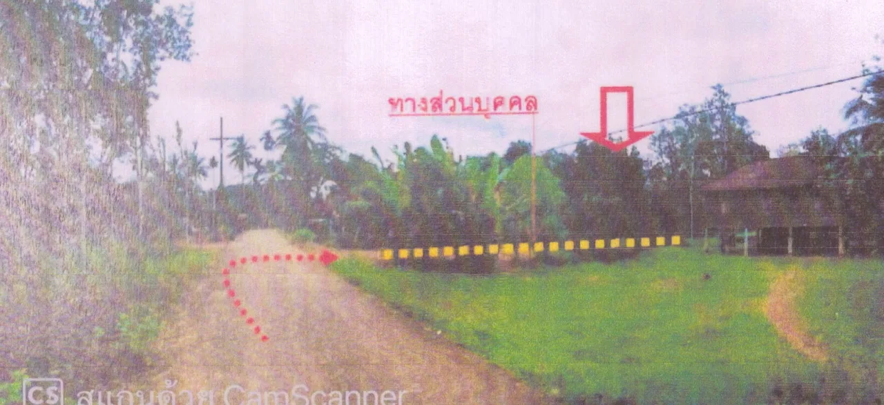 ขายทอดตลาด ที่ดินว่างเปล่า ต.คลองหลา อ.คลองหอยโข่ง จ.สงขลา