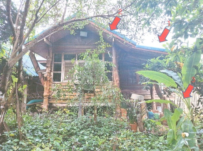 ขายทอดตลาด ที่ดินพร้อมสิ่งปลูกสร้าง ต.ดงมะไฟ อ.เมืองสกลนคร จ.สกลนคร