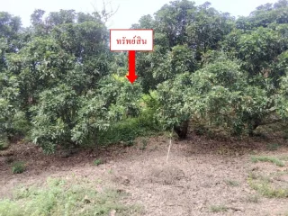 รูปทรัพย์ 2