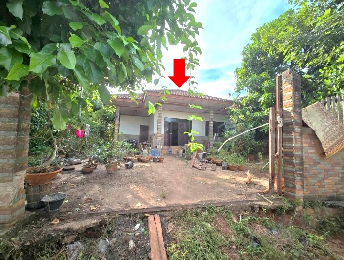 ขายทอดตลาด ที่ดินพร้อมสิ่งปลูกสร้าง ต.วาใหญ่ อ.อากาศอำนวย จ.สกลนคร
