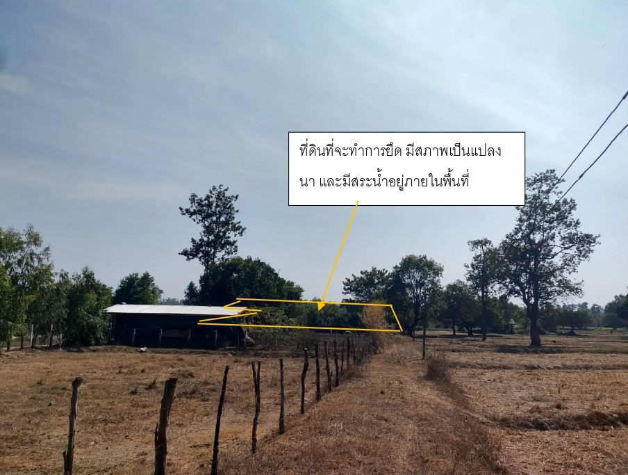 ขายทอดตลาด ที่ดินว่างเปล่า ต.อากาศ อ.อากาศอำนวย จ.สกลนคร