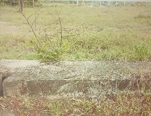ขายทอดตลาด ที่ดินว่างเปล่า ต.โนนท่อน อ.เมืองขอนแก่น จ.ขอนแก่น