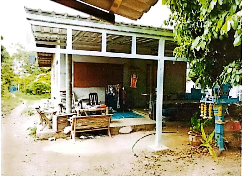 ขายทอดตลาด ที่ดินพร้อมสิ่งปลูกสร้าง ต.แม่แรง อ.ป่าซาง จ.ลำพูน