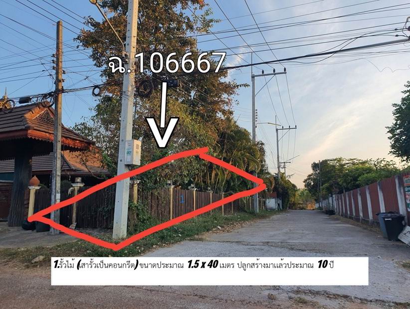 ขายทอดตลาด ที่ดินพร้อมสิ่งปลูกสร้าง ต.ธาตุนาเวง อ.เมืองสกลนคร จ.สกลนคร
