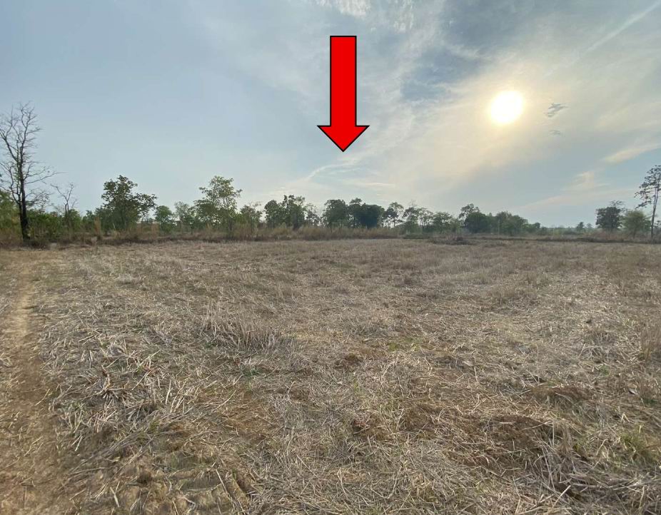 ขายทอดตลาด ที่ดินว่างเปล่า ต.เชียงเครือ อ.เมืองสกลนคร จ.สกลนคร