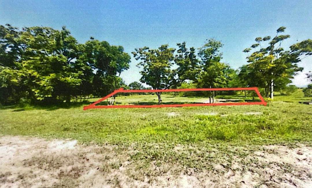 ขายทอดตลาด ที่ดินว่างเปล่า ต.บ้านธิ อ.บ้านธิ จ.ลำพูน