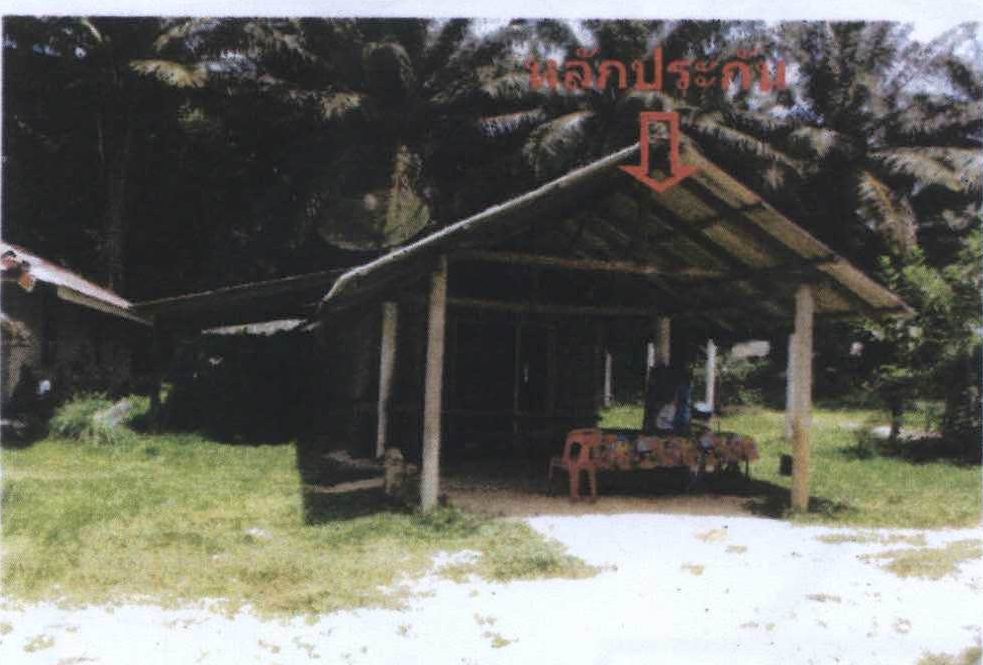 ขายทอดตลาด ที่ดินพร้อมสิ่งปลูกสร้าง ต.คลองขนาน อ.เหนือคลอง จ.กระบี่