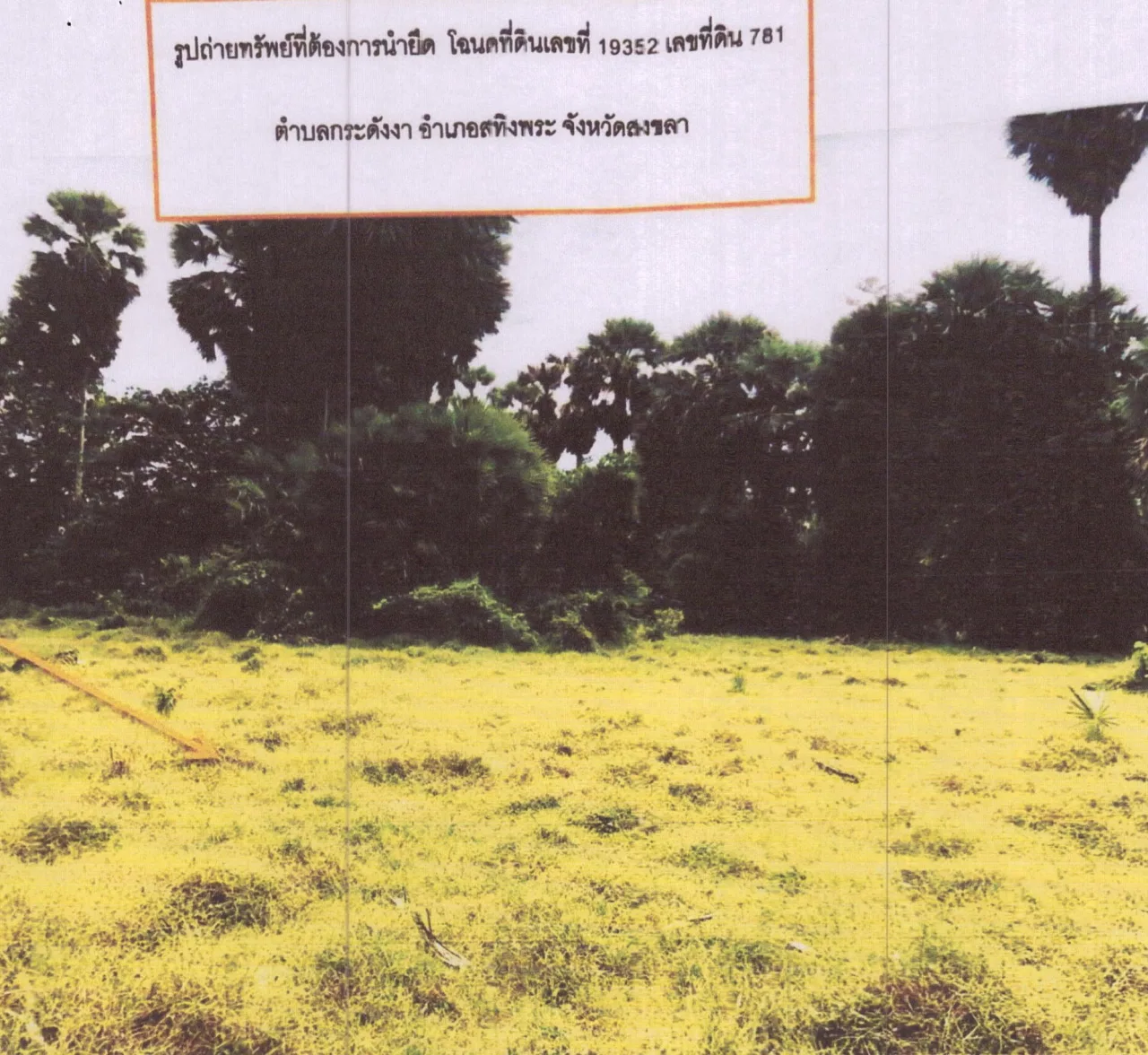 ขายทอดตลาด ที่ดินว่างเปล่า ต.กระดังงา อ.สทิงพระ จ.สงขลา