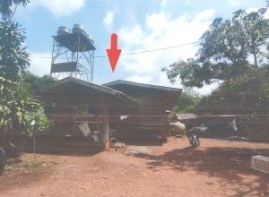 ขายทอดตลาด ที่ดินพร้อมสิ่งปลูกสร้าง ต.ศรีวิชัย อ.ลี้ จ.ลำพูน