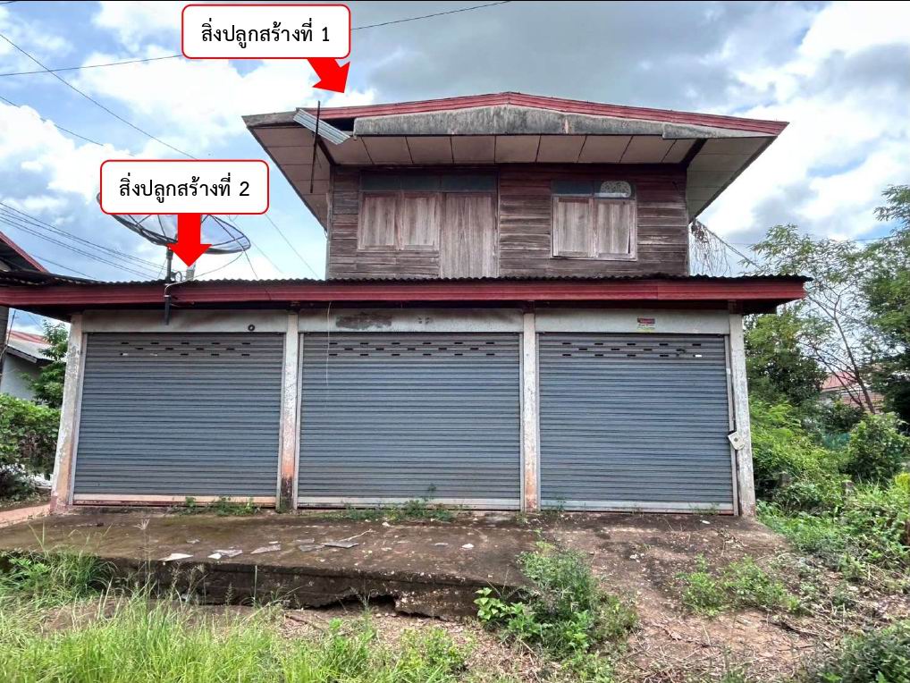 ขายทอดตลาด ที่ดินพร้อมสิ่งปลูกสร้าง ต.ต้นผึ้ง อ.พังโคน จ.สกลนคร