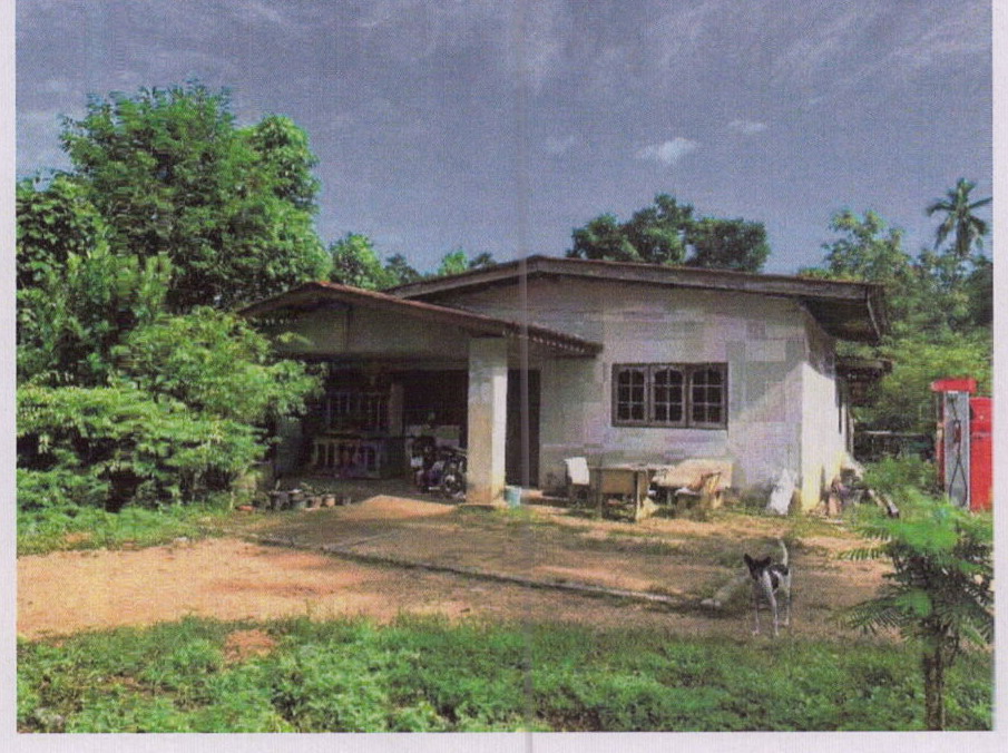 ขายทอดตลาด ที่ดินพร้อมสิ่งปลูกสร้าง ต.ทุ่งตำเสา อ.หาดใหญ่ จ.สงขลา