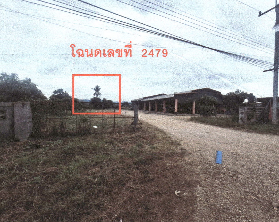 ขายทอดตลาด ที่ดินว่างเปล่า จ.ลำพูน