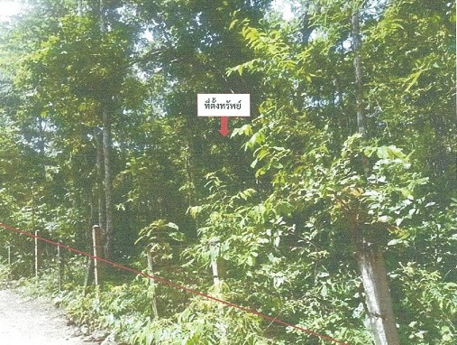 ขายทอดตลาด ที่ดินว่างเปล่า ต.โพนแพง อ.อากาศอำนวย จ.สกลนคร