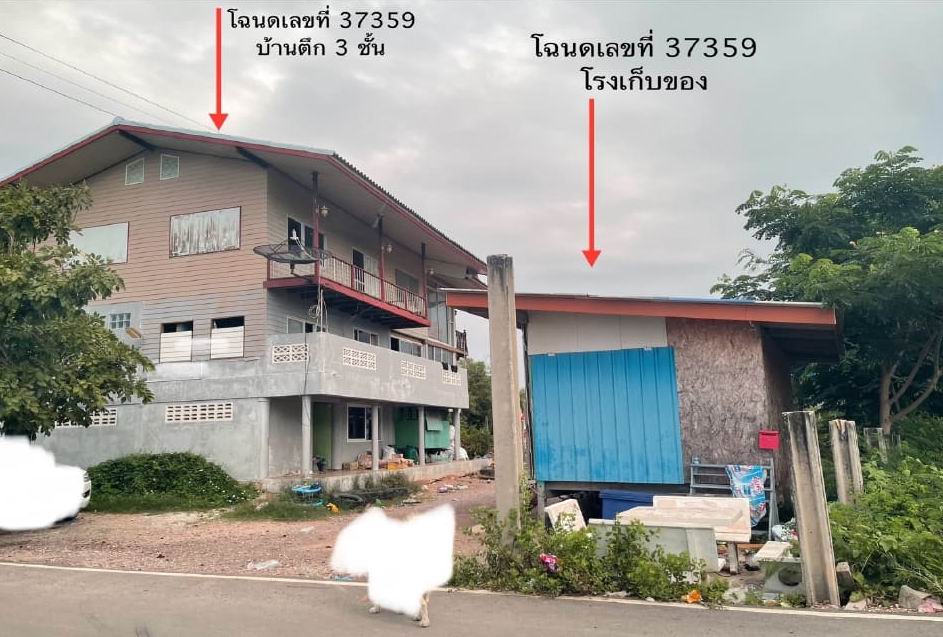 ขายทอดตลาด ที่ดินพร้อมสิ่งปลูกสร้าง ต.คลองโคน อ.เมืองสมุทรสงคราม จ.สมุทรสงคราม