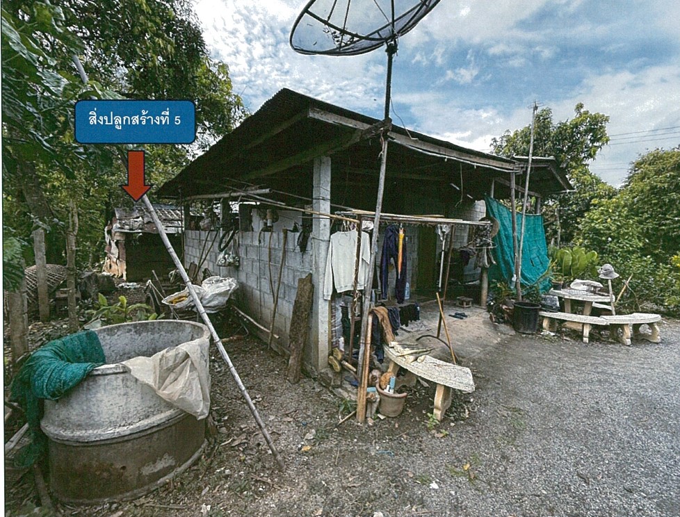ขายทอดตลาด ที่ดินพร้อมสิ่งปลูกสร้าง ต.เหล่ายาว อ.บ้านโฮ่ง จ.ลำพูน
