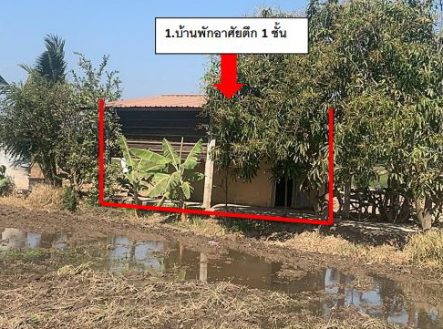 ขายทอดตลาด ที่ดินพร้อมสิ่งปลูกสร้าง ต.ห้วยชัน อ.อินทร์บุรี จ.สิงห์บุรี