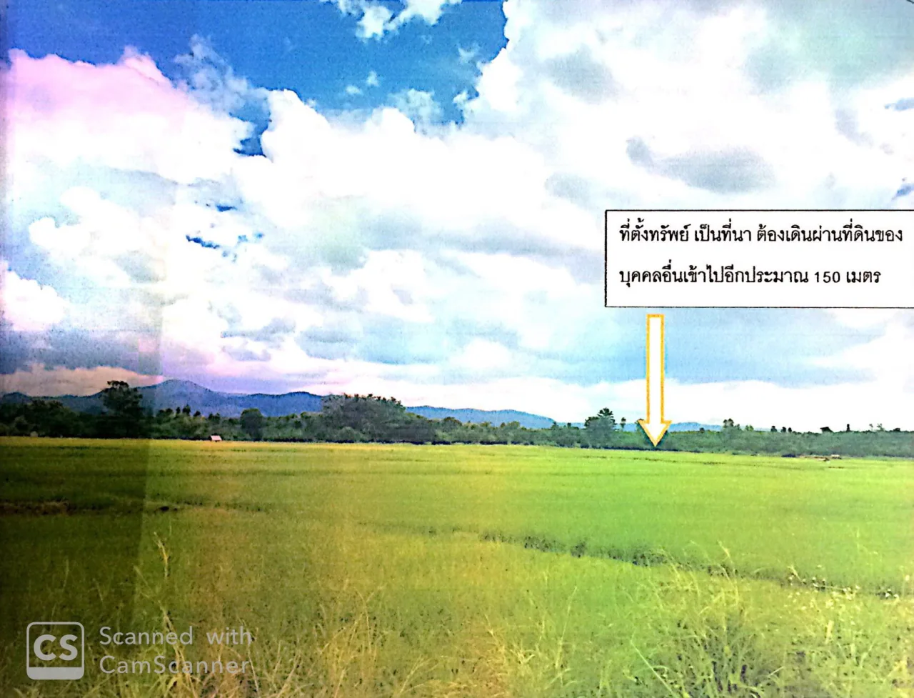 ขายทอดตลาด ที่ดินว่างเปล่า จ.ลำพูน