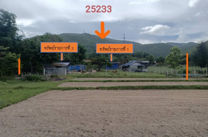 ขายทอดตลาด ที่ดินพร้อมสิ่งปลูกสร้าง ต.ทาสบเส้า อ.แม่ทา จ.ลำพูน