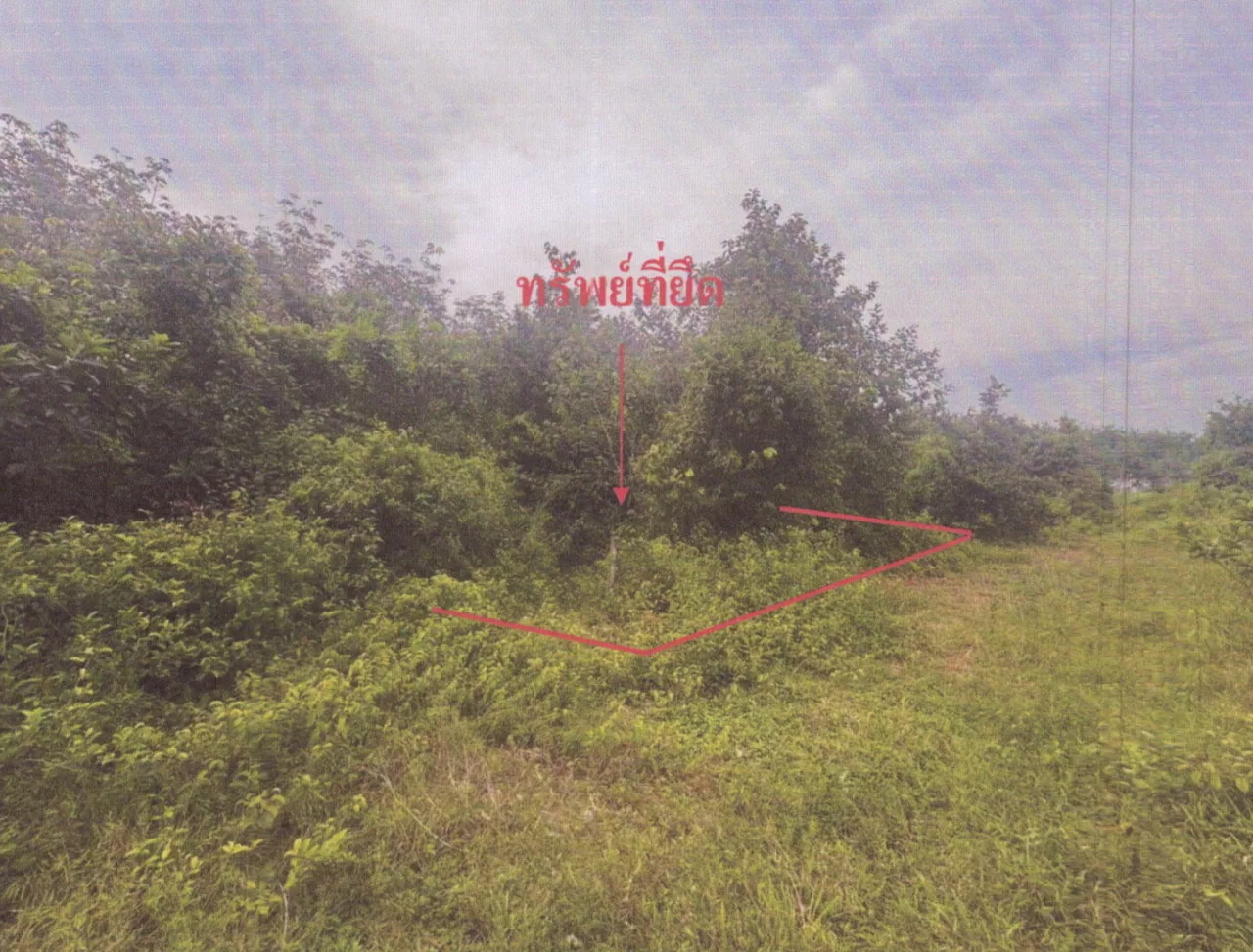 ขายทอดตลาด ที่ดินว่างเปล่า ต.ท่าช้าง อ.บางกล่ำ จ.สงขลา