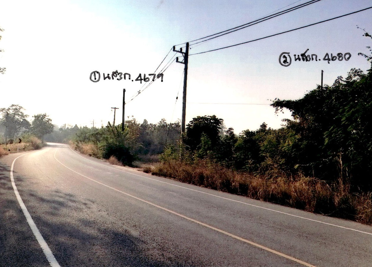 ขายทอดตลาด ที่ดินว่างเปล่า จ.ลำพูน