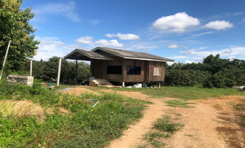 ขายทอดตลาด ที่ดินพร้อมสิ่งปลูกสร้าง ต.ท่าตุ้ม อ.ป่าซาง จ.ลำพูน