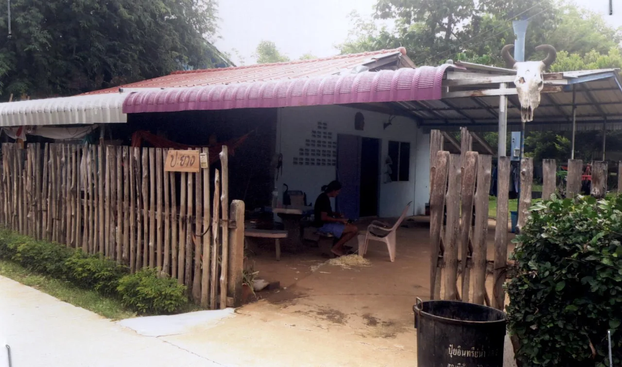 ขายทอดตลาด ที่ดินพร้อมสิ่งปลูกสร้าง ต.ชีน้ำร้าย อ.อินทร์บุรี จ.สิงห์บุรี