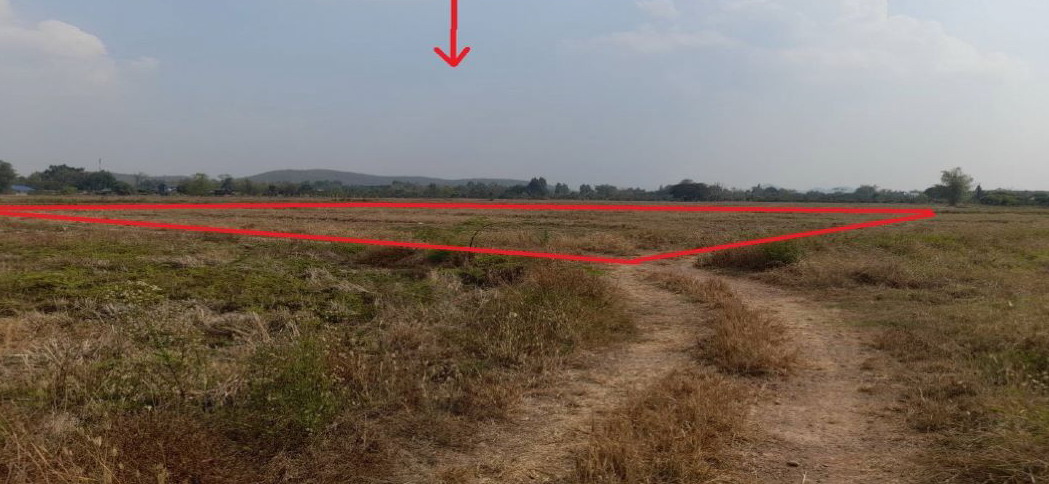 ขายทอดตลาด ที่ดินว่างเปล่า ต.เหมืองจี้ อ.เมืองลำพูน จ.ลำพูน