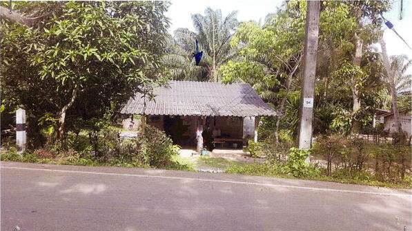 ขายทอดตลาด ที่ดินพร้อมสิ่งปลูกสร้าง ต.ดินอุดม อ.ลำทับ จ.กระบี่
