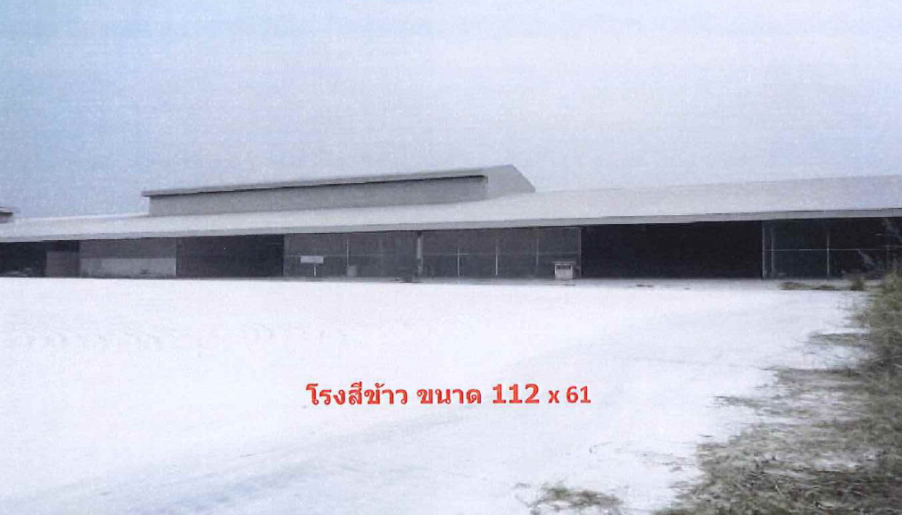 ขายทอดตลาด ที่ดินพร้อมสิ่งปลูกสร้าง ต.โพชนไก่ อ.บางระจัน จ.สิงห์บุรี