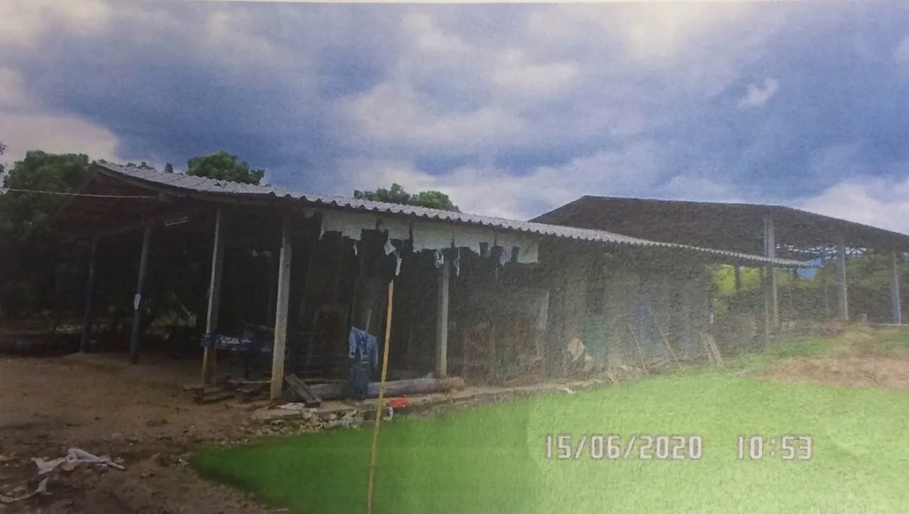 ขายทอดตลาด ที่ดินพร้อมสิ่งปลูกสร้าง ต.วังผาง อ.ป่าซาง จ.ลำพูน