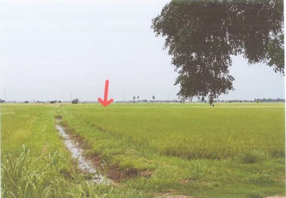 ขายทอดตลาด ที่ดินว่างเปล่า ต.ท่างาม อ.อินทร์บุรี จ.สิงห์บุรี