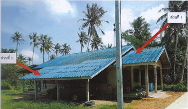 ขายทอดตลาด ที่ดินพร้อมสิ่งปลูกสร้าง ต.วัดขนุน อ.สิงหนคร จ.สงขลา