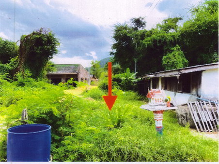 ขายทอดตลาด ที่ดินว่างเปล่า ต.หัวเขา อ.สิงหนคร จ.สงขลา